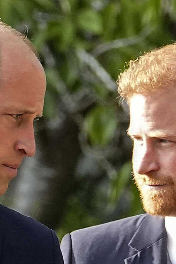 Harry vs William – Querelle royale (2023) 0