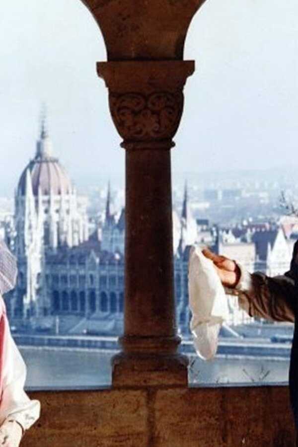 The Love-Stricken (1992) 0