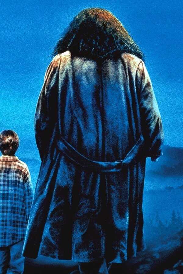 Harry Potter and the Philosopher's Stone (2001) 0