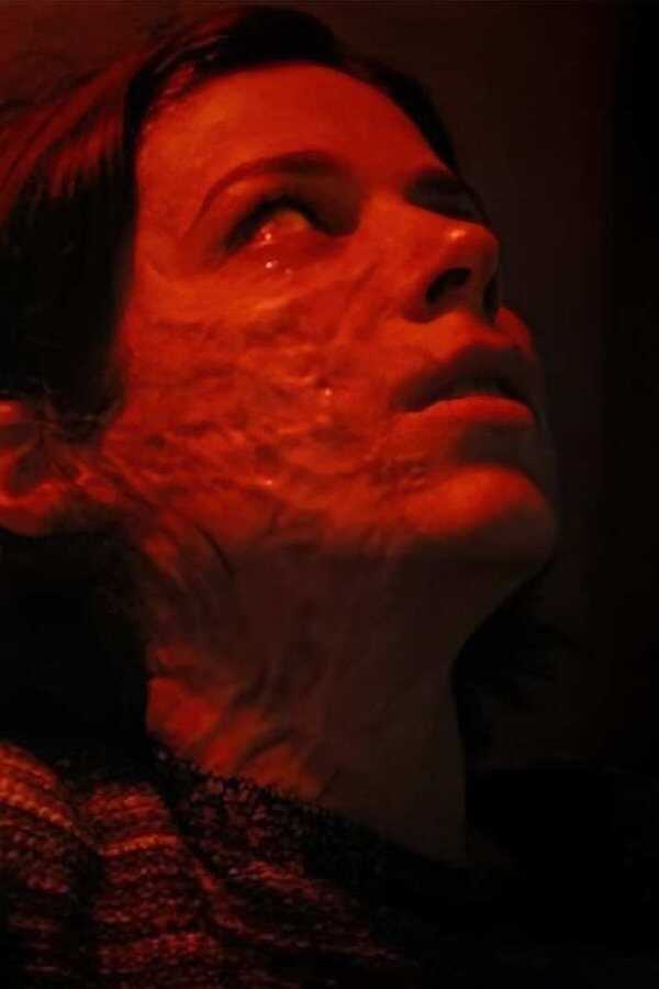 Visitante (2021) 0