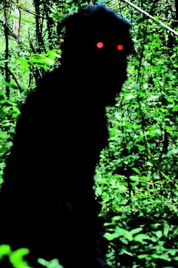 Uncle Boonmee Who Can Recall His Past Lives (2010) 0