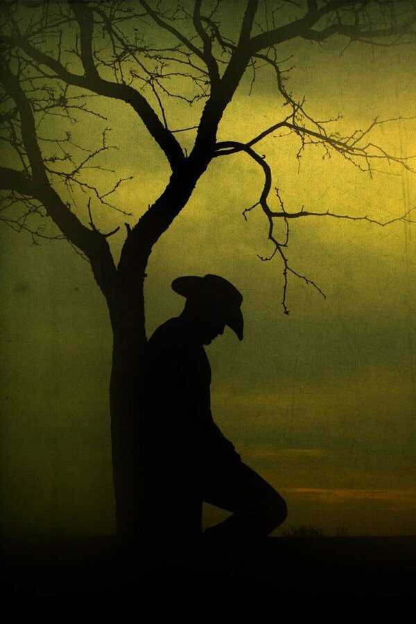 South of Heaven, West of Hell (2000) 0