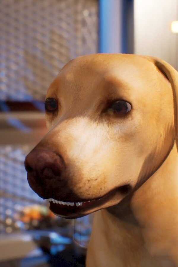 Avenger Dogs 0