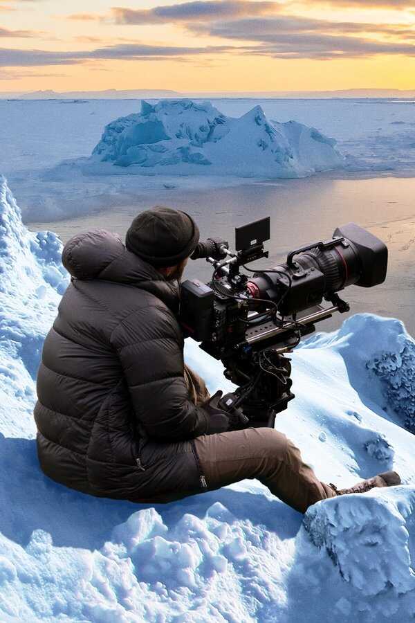Bear Witness (2022) 0