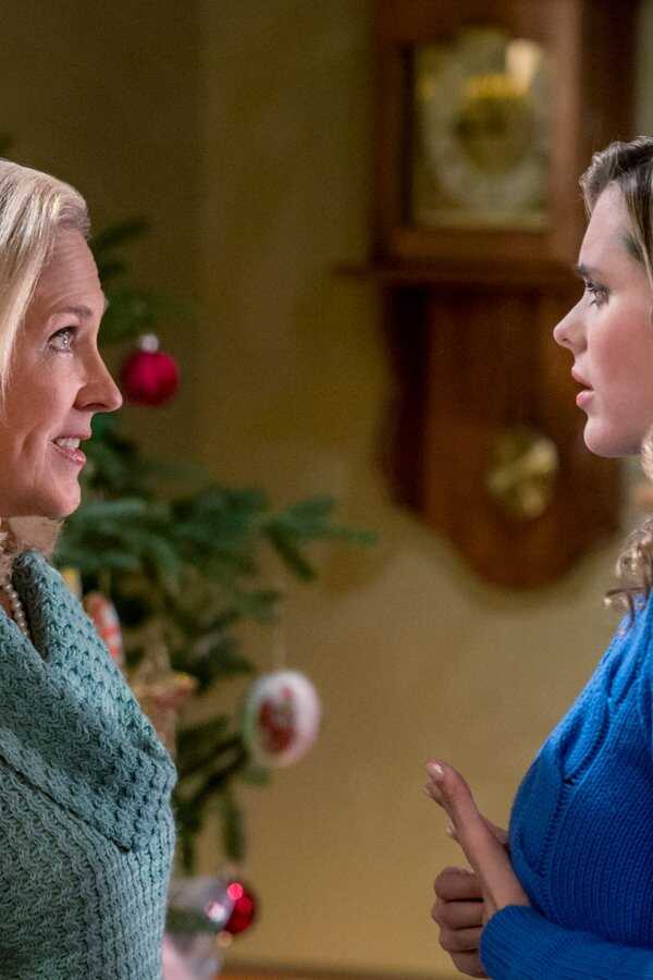 A Perfect Christmas (2016) 0
