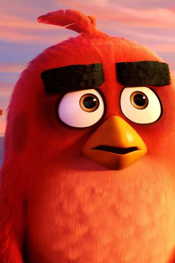 Angry Birds : Le film (2016) 0