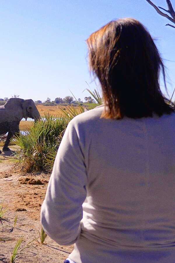 Sur la route des éléphants (2020) 0