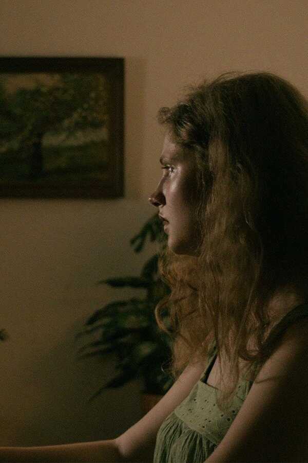 Pollen (2023) 0