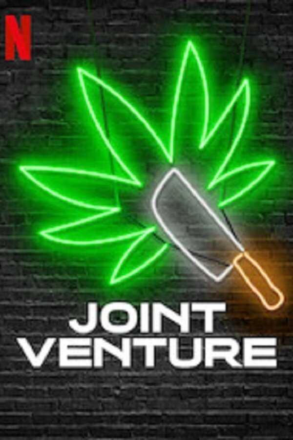 DE - Joint Venture (2019) 8