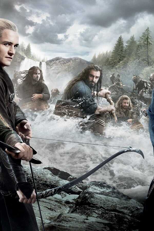 The Hobbit: The Desolation of Smaug (2013) 0