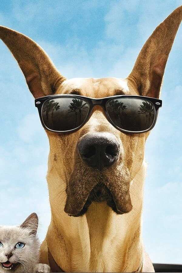 Marmaduke (2010) 0