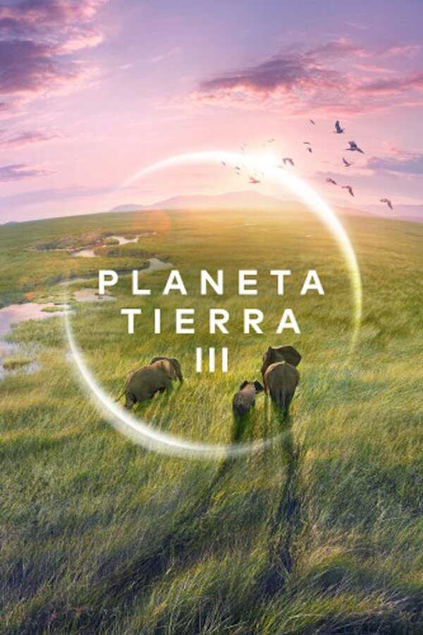 ES - Planeta Tierra III 8
