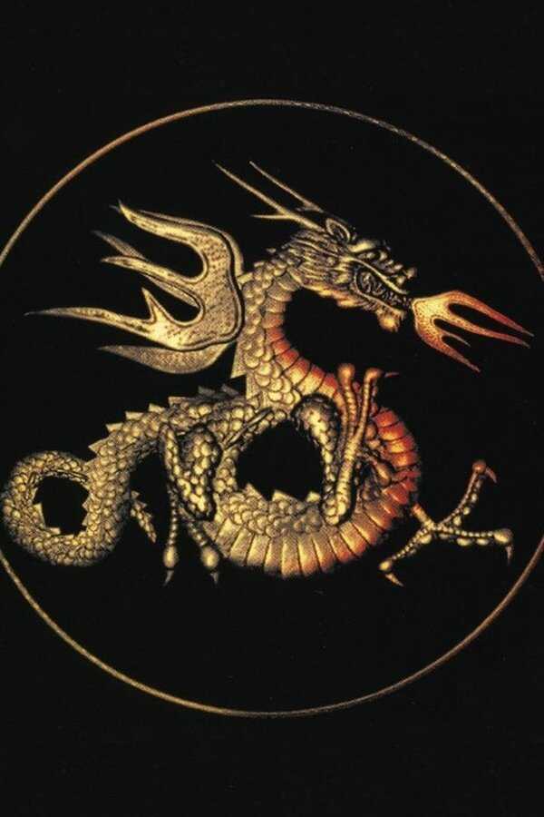 Le Baiser mortel du dragon (2001) 0