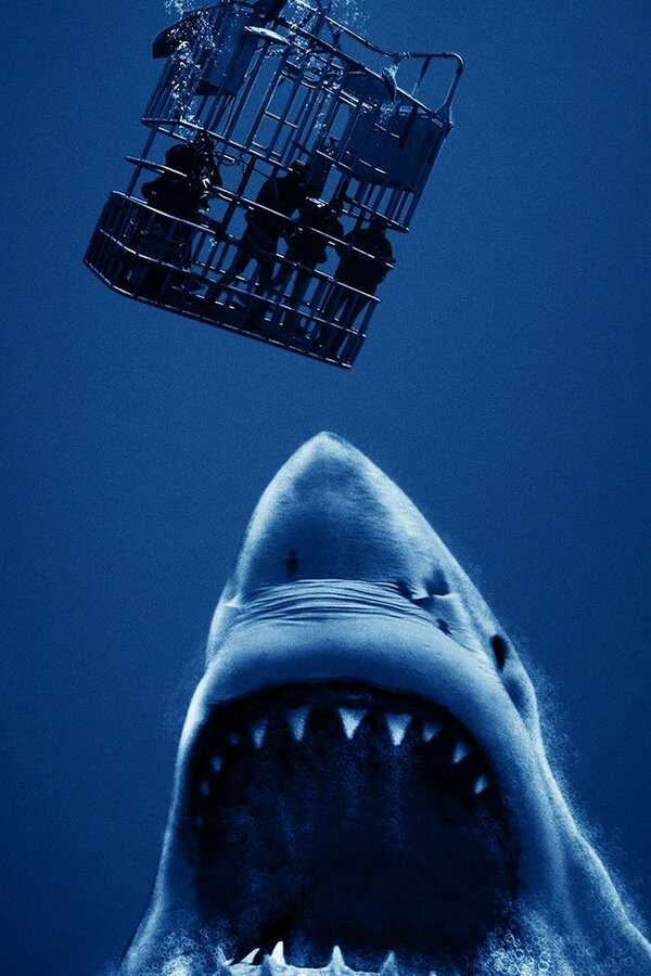 Cage Dive (2017) 0