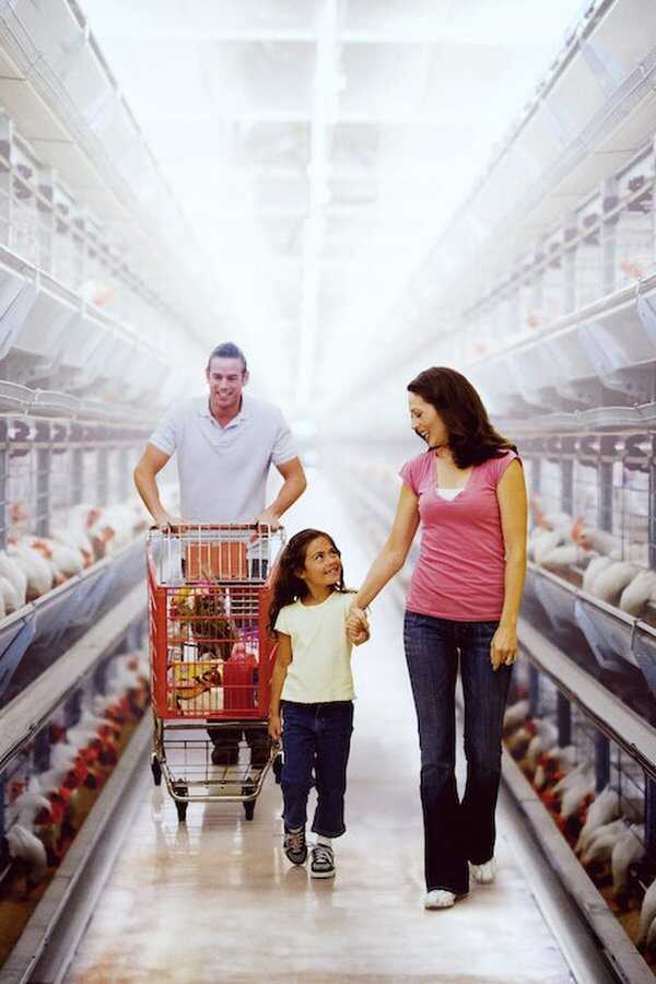 Poisoned: The Dirty Truth About Your Food (2023) 0