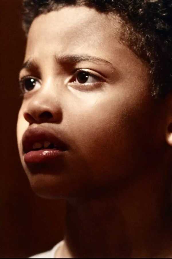 They Wait in the Dark (2022) 0