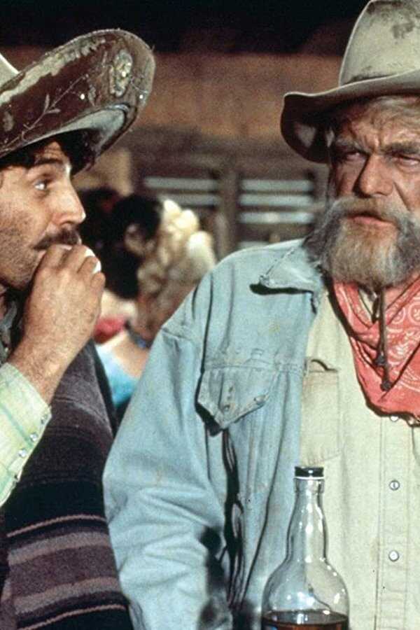 Cowboy John (1971) 0