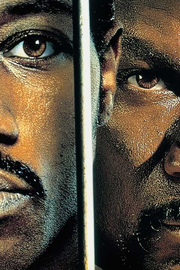 Champion (2002) 0