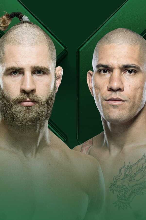 UFC 295: Prochazka vs. Pereira (2023) 0