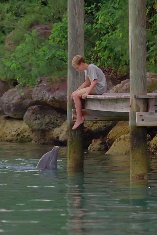 Dolphin Kick (2019) 0