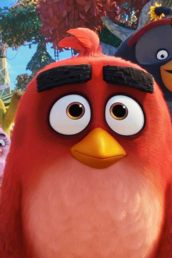 The Angry Birds Movie 2 (2019) 0