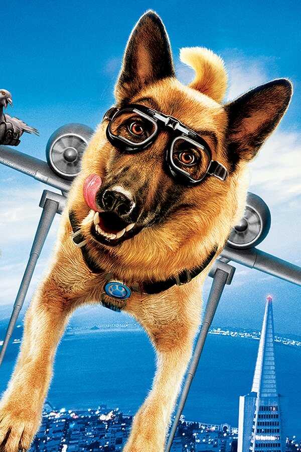 Cats & Dogs: The Revenge of Kitty Galore (2010) 0