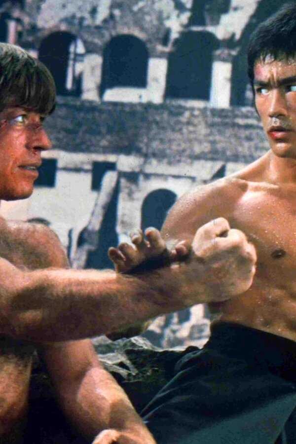 The Way of the Dragon (1972) 0