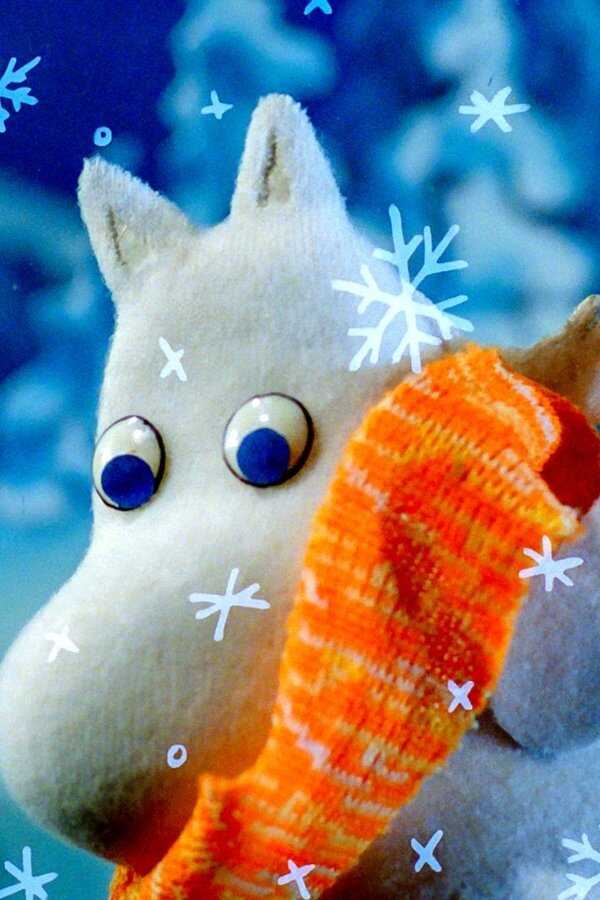Moomins and the Winter Wonderland (2017) 0