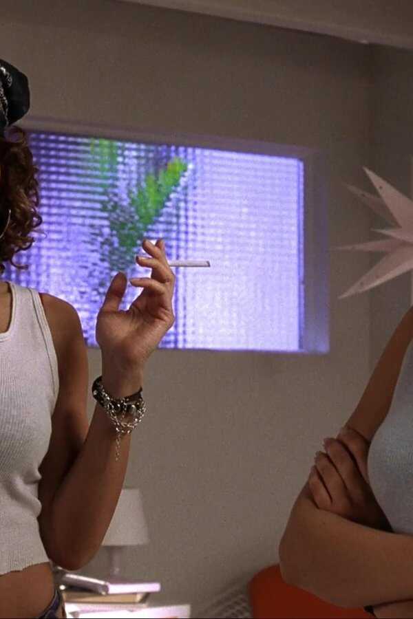 Wild Things 2 (2004) 0