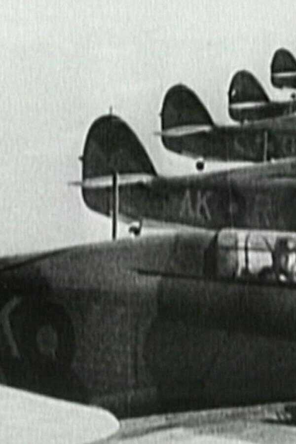 100 Years of the RAF (2018) 0