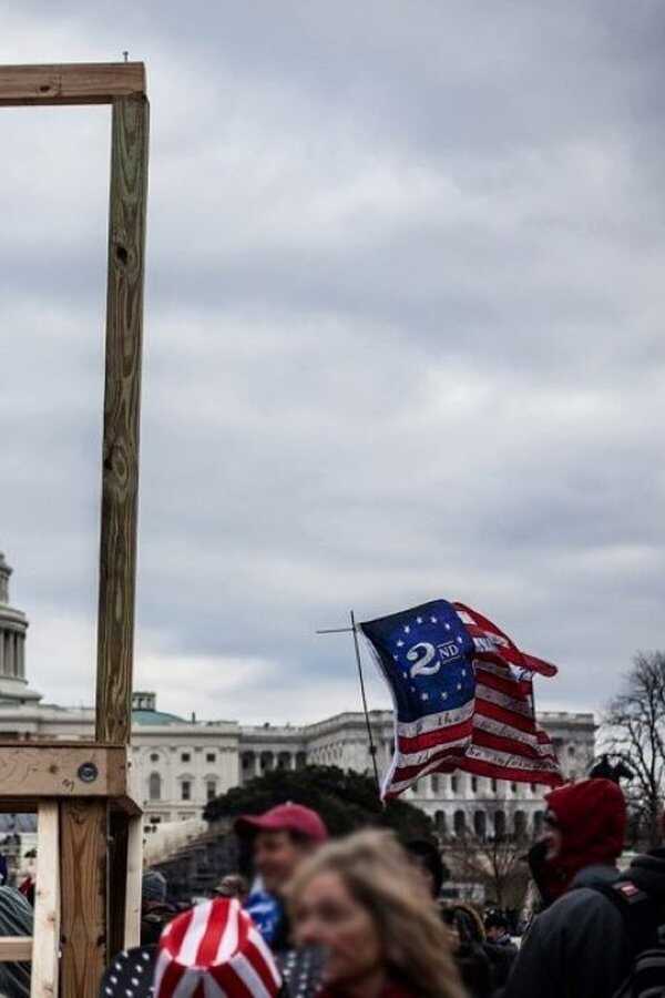 American Insurrection (2021) 0