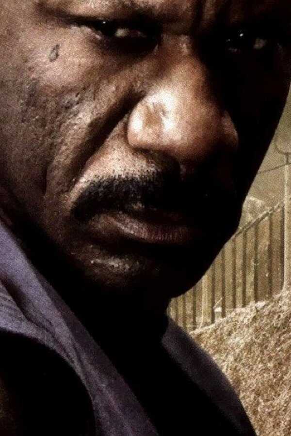 Animal 2 (2007) 0