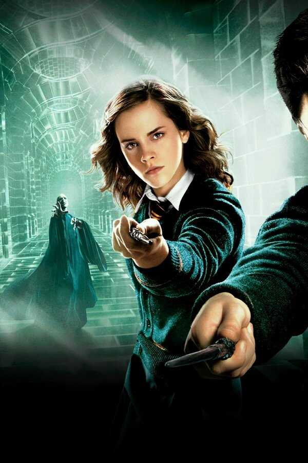 Harry Potter and the Order of the Phoenix (2007) 0
