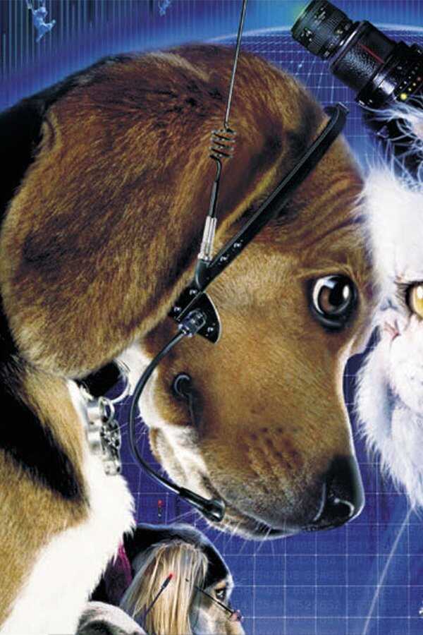 Cats & Dogs (2001) 0