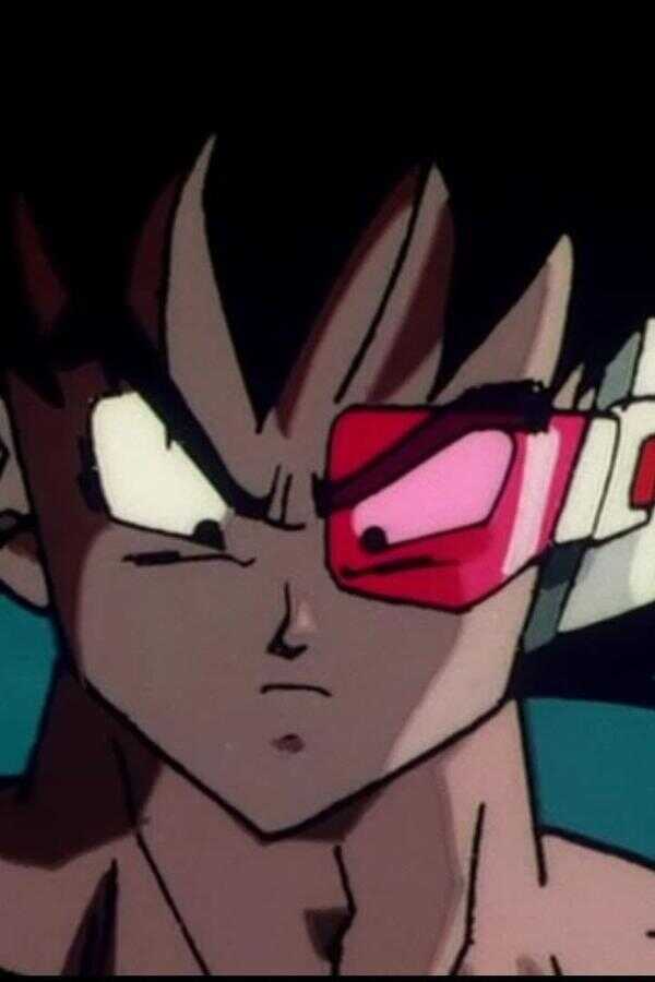 Dragon Ball Z Movie 03 The Tree Of Might (1990) 0