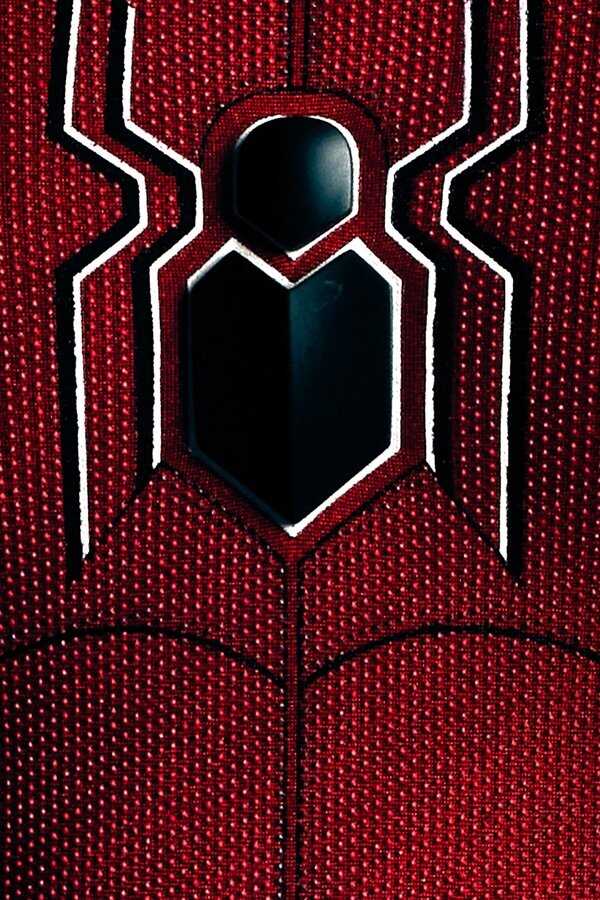 Spider-Man: All Roads Lead to No Way Home (2022) 0