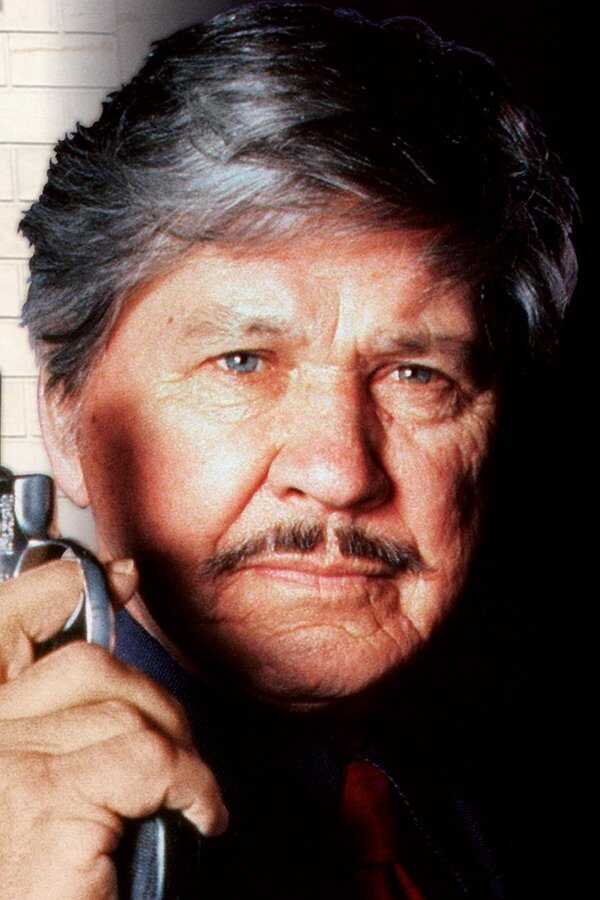 Death Wish V: The Face of Death (1994) 0
