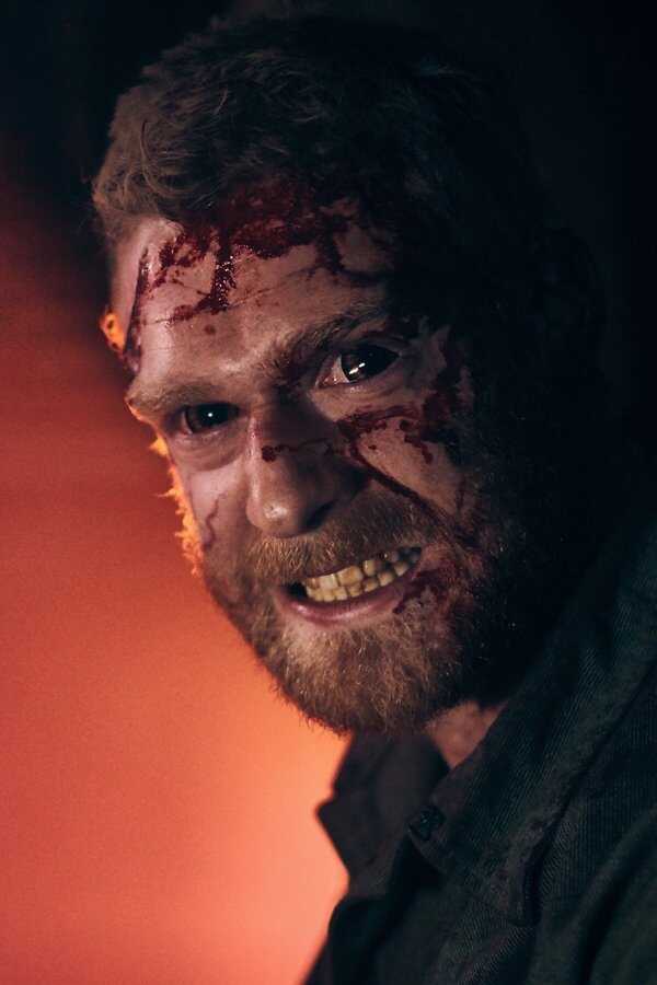 Blood Vessel (2019) 0