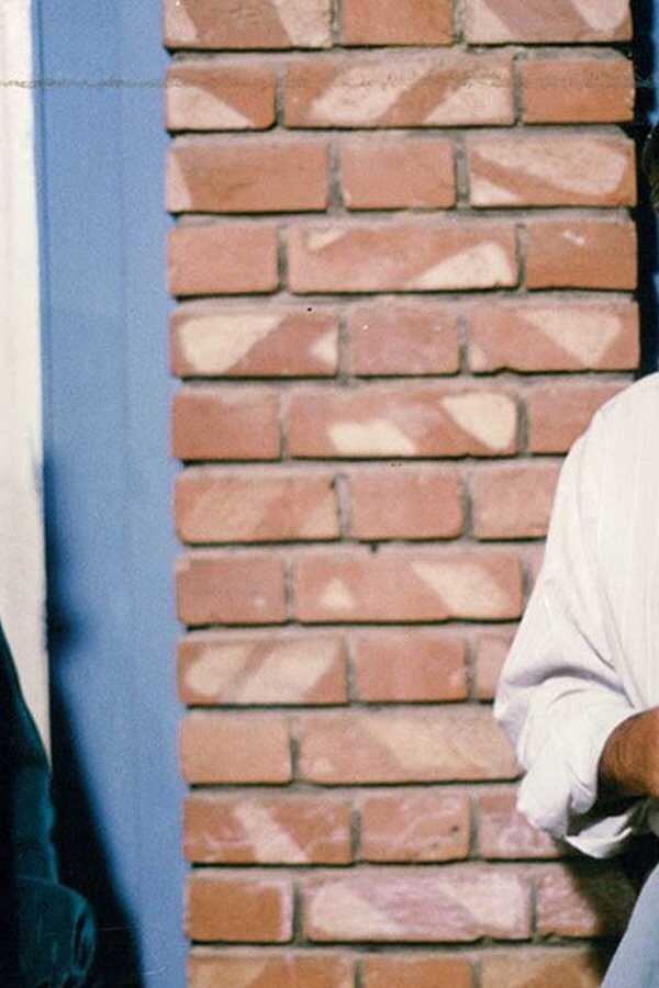 The Blue-Veiled (1995) 0