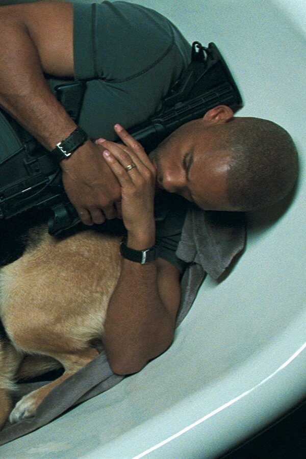 I Am Legend (2007) 0