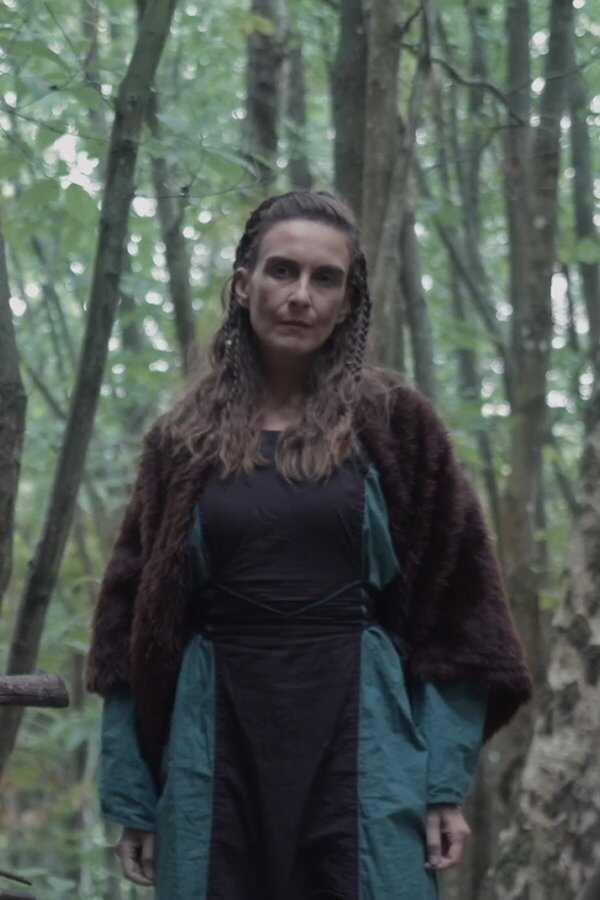 Viking: Bloodlust (2023) 0