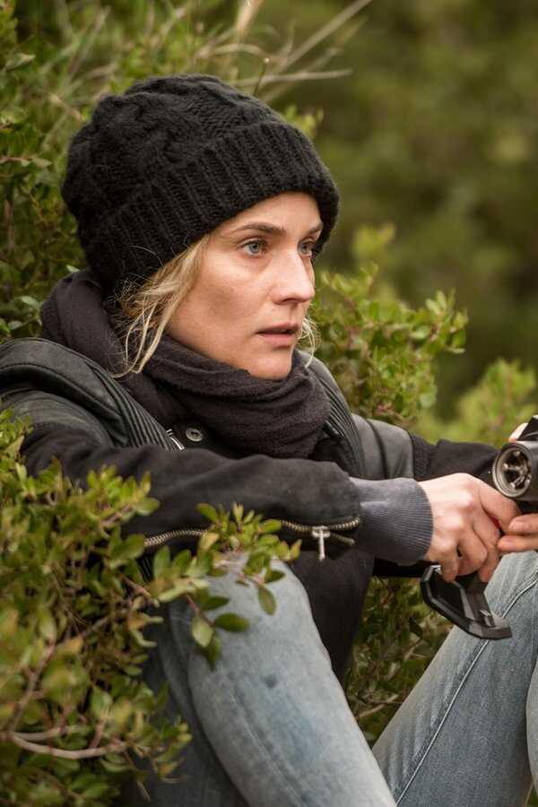 In the Fade (2017) 0