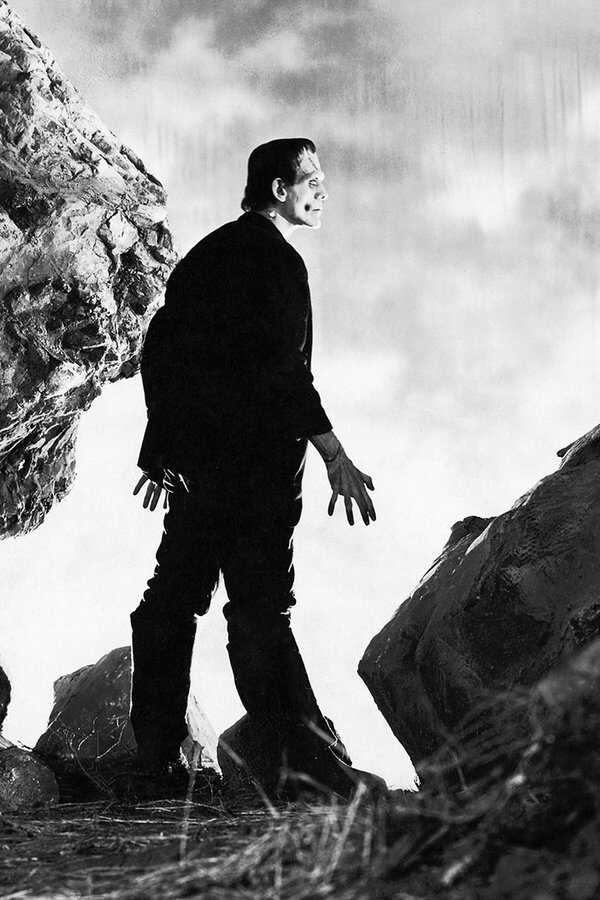 Frankenstein (1931) 0