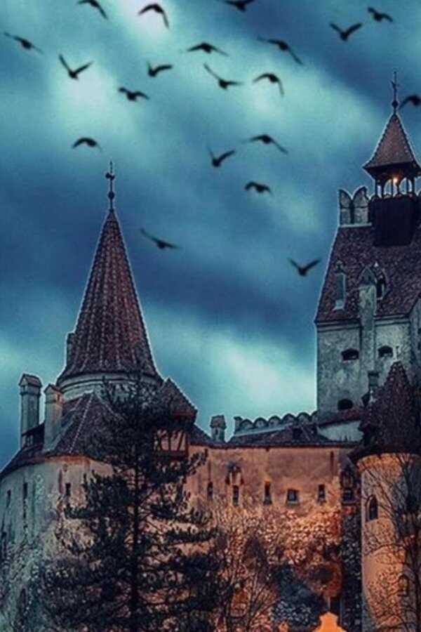 Romania: Seeking Dracula's Castle (2020) 0