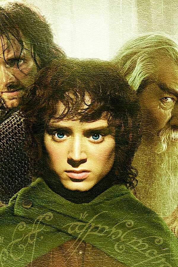 El señor de los anillos: La comunidad del anillo (2001) 0