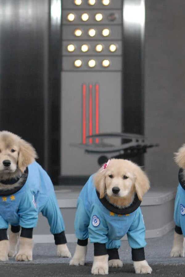 Space Buddies (2009) 0