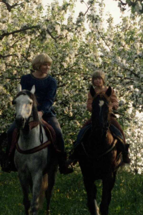 The Brothers Lionheart (1977) 0