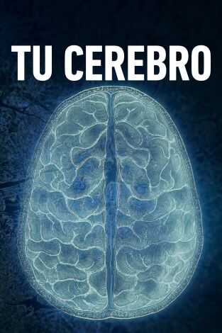 ES - Tu cerebro: La percepción 8