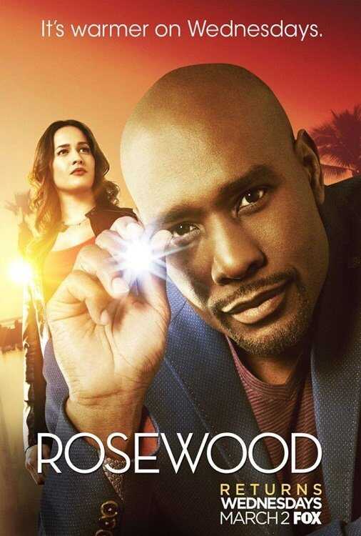 EN - Rosewood (2015-2017) 8