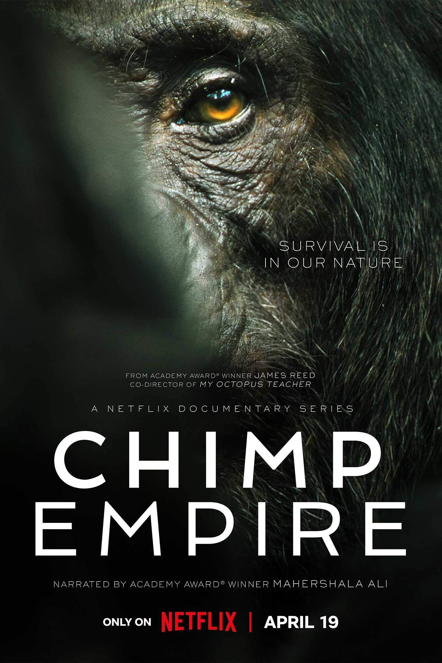 EN - Chimp Empire (2023) 8